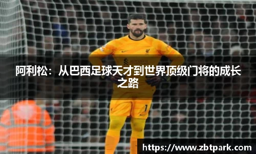 DG视讯
