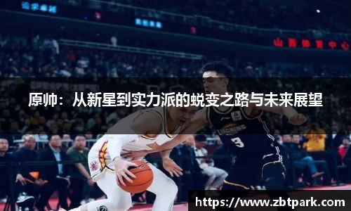 DG视讯
